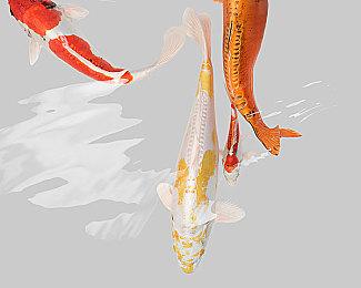 《天外世界：太空人之选》发布更新 优化卡顿现象